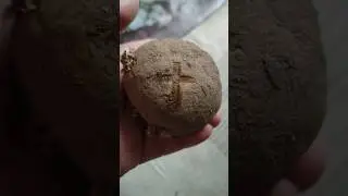 Изображение Креста на картофеле🙏🙏🙏  