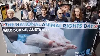 National Animal Rights Day - Melbourne