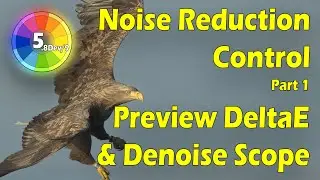 Raw Therapee Noise Reduction Control Refinements + Workflow Thoughts & A Bit of Photoshop 😀