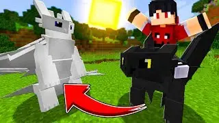 *NOVO* MOD DO FÚRIA DA NOITE NO MINECRAFT *todos os dragões* ‹‹ P3DRU ››