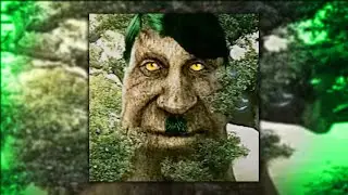 Wise Mystical Tree Tik Tok memes | Мудрое Мистическое Дерево мем подборка