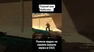 девушка токсик в кс 2 ищет мужа. порхай как бабочка. 