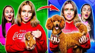 МОЯ СОБАКА ТОГДА VS СЕЙЧАС ! Как изменилась Чили?