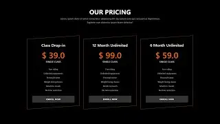 Responsive Pricing Card  HTML & CSS | For Any Website