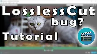 lossless video cut
