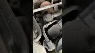 Эксперты ваш выход. Что за звуки ?