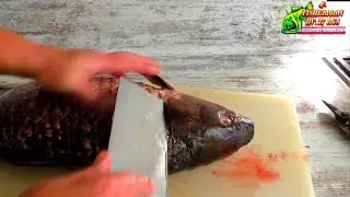 Three simple tips about cleaning and cutting large fish, how easy it is to clean and cut carp, carp.