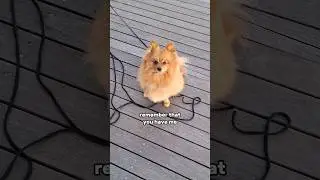 Just a CUTE 