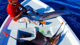 How to catch sailfish with no hooks!!