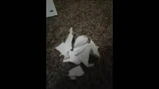 I tore up nothing