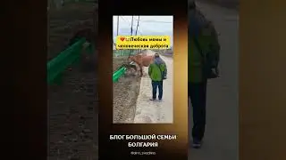 Она готовилась ударить #добро #доброта #спасение #животные #лошади #лошадь #дослез #любовь #лучшее
