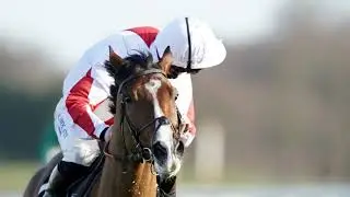 Horse Racing Betting Tips:Good Gosh this horse could be very special in Triumph Hurdle