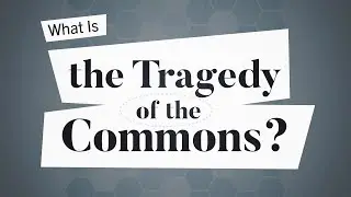 What Is the Tragedy of the Commons? | Business: Explained