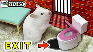 🐹 Hamster escape from prison 🐹 Hamster maze with traps 🐹 Homura Ham Pets