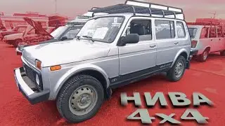 NIVA URBAN NARXLARI. TOSHKENT 28-yanvar, 2024