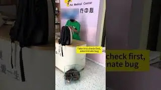 Люди выкинули его, но ему повезло