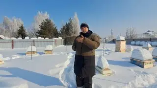 Обстановка на пасеке 2 марта 2024 г  и несколько слов по поводу