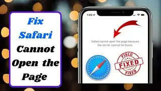 how to fix safari cannot open the page because the server cannot be found|2023