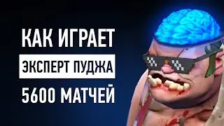 КАК ИГРАЕТ ЗАДРОТ С 5600 ИГР НА ПУДЖЕ НА 7K MMR