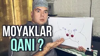 MOYAKLARINGIZ JOYIDAMI?