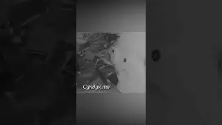 Нападение куницы на гнездо синиц.
