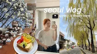 seoul vlog 🍃 spring week of my life in korea, suwon solo trip, bad air quality, cafe dates