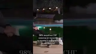 Птушкин и Дудь