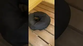 Второе дыхание в бане. Зачем и для чего?