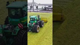 Кукуруза на силос. Рекомендации 