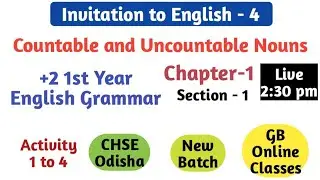 Countable and Uncountable Nouns +2 1st Year English Grammar in Odia|Countable and uncountable noun|