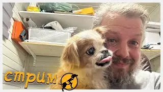 Вечерний стрим, отвечаем на ваши вопросы, делимся новостями 19.04.2024