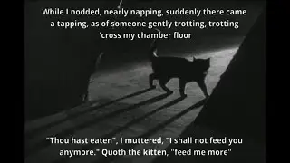 Quoth the kitten