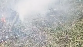 Окрестность Зубанчи  📽️ Ars_Video ⛰️ в прямом эфире