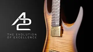 A2 - The Evolution of Excellence