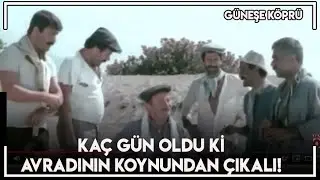 Güneşe Köprü | Sonra Sonra Başına Vurur!