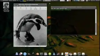 Bittorrent creation via Command Line