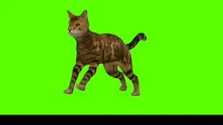 green screen no copyright animal video / green screen cartoon animal character / Brain master