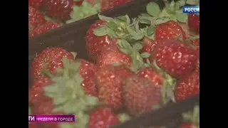Торг не уместен: Москву не могут избавить от лоточников - Россия Сегодня
