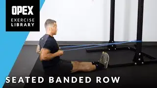 Seated Banded Row - OPEX Exercise Library