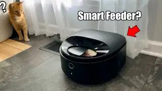 This Petlibro Polar Smart Wet Food Feeder Is Pretty Crazy…