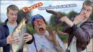 В поход с классом. Финал!