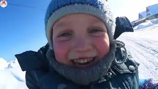 366🐷🐖Забой трех свиней ‼️Покупка мясокостной муки и кормов ‼️
