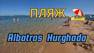 Пляж ⛱️  сети ALBATROS удобный, комфортный и пологий спуск в море!)