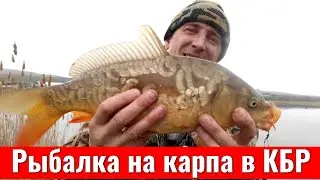 Рыбалка на КАРПА С МЕЛКИМИ КРЮЧКАМИ в ЛЕДЯНОЙ ВОДЕ 