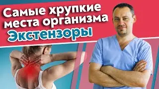 Экстензоры - разгибатели шеи / Почему голова опускается вперед? Как исправить?
