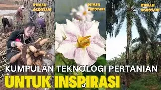 Teknologi Pertanian Modern Untuk Inspirasi