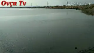Kefal ovu hovsan qum adasi