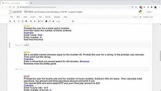 Python Practice Problem - 02 Input