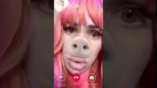 Real Lola Pork is calling NIKPIG