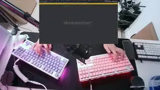 When You're a TKL guy but Curious About What it's Like to Type on an Alice Layout